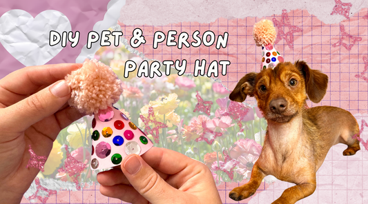 DIY Pet & Person Party Hats: Free Template & Easy Instructions