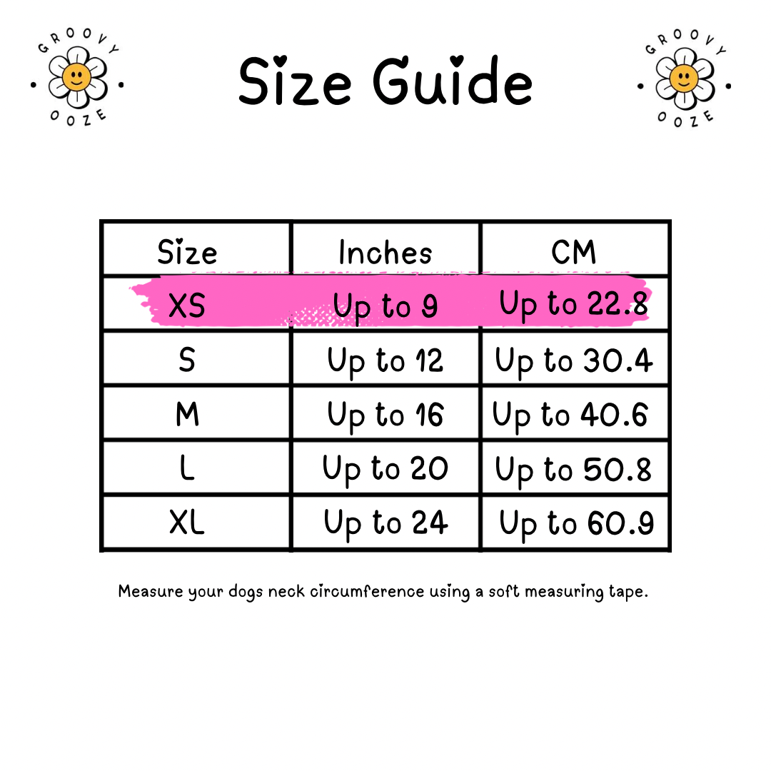 Flower Power Pet Bandana PDF Sewing Pattern - SIZE XS