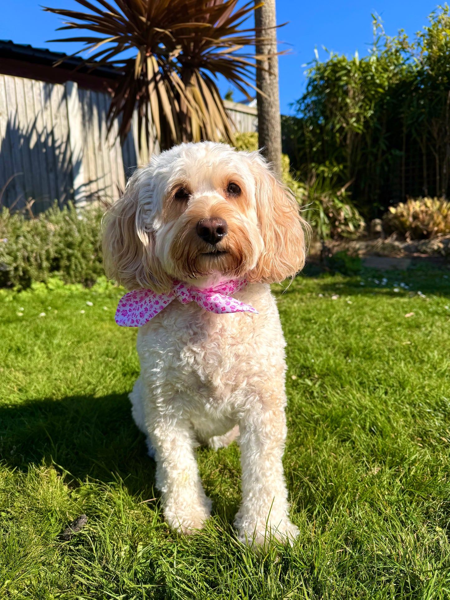 Pet Neckerchief PDF Sewing Pattern - SIZE M, L & XL